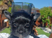 LAST GIRL! Mini Black Yorkshire Terrier