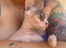 Sphinx