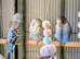 Quality budgies for sale.