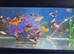 Fish rank aquarium