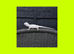 BEARDED DRAGON