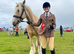 Palomino pedigree Irish cob 15.1hh
