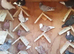Quality roller pigeons in various colours