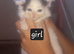 2 beautiful kittens females