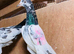 Pakistani Teddy Pigeons highflying