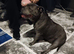 Looking to rehome
