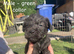Lakeland Cross Patterdale puppies