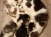 3 cute boys and 3 cute girls