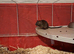 2 male gerbils for sale.