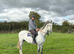 Lovely safe Grey gelding -thoroughbred
