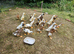 Trios of Runner ducks