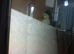 tame lovebird and parrotlet