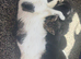 Beautiful black and white girl