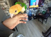 Super tamed caique