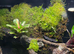 Super Large Dart Frog Vivarium Setup &ndash; &pound;420 &ndash; Nottingham NG3 (Collection Only)