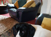New Home needed for Nala