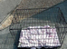 Dog crate