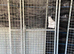 Galvanized 3 ft by 6 ft kennel gate