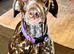 Gsp puppies, Litter of 9 KC registered Strong, Healthy pups.