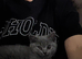 Beautiful kitties