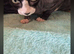 Lovley cat