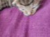 Need Rehoming as soon as possible