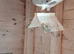Breeder pair of racing pigeons for sale