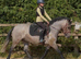 13hh pony club/whp/happy hacker
