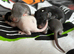 Gorgeous girls available