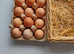 Fertilized chicken eggs for sale in London