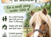 DIY LIVERY SPACE AVAILABLE - SMALL PONY UP TO 12hh in wembury