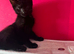 Maine coon x
