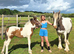 Wanted Sole use field for ponies in the wareham, bere regis, wool area.