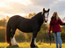 Beautiful HW Traditional Blagdon Mare - *Project/Brood Mare*