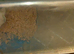 Rodent Cages for sale