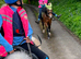 Lovely 13.2 gelding