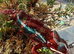 Panther Chameleon F1