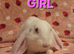 French lop does 8weeks last 2