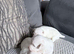 3 beautiful Maltese puppies for sale