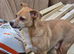 Bruno is looking for pastures new