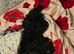 Lovely black maltipoo