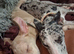 2 stunning little bundles