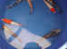 koi carp for sale £25 8 to 9 inch