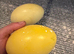 Rhea Fertile Hatching Eggs White & Grey