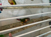Male and female
