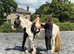 13.3/14 cob mare 14 yrs old