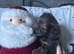 One adorable boy left