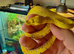 Green tree python