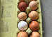 Chicken eggs