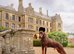 Trained Doberman
